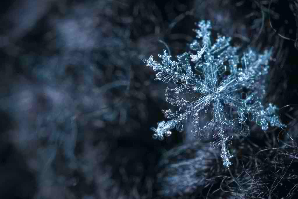 Winter solstice yoga at home